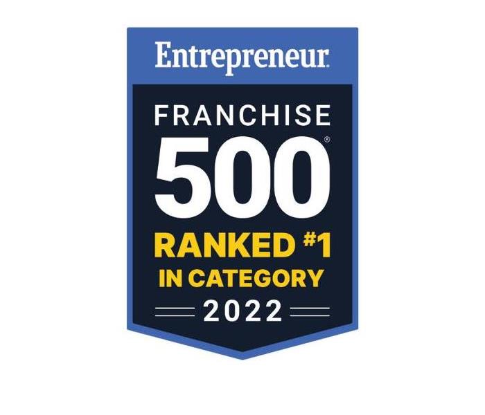 Franchise 500 #1 in Category Badge